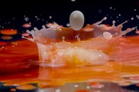 Splash Colortography Image 2