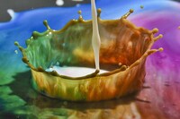 Splash Colortography Image 4