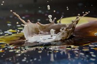 Splash Colortography Image 6