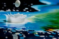 Splash Colortography Image 7