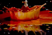 Splash Colortography Image 8