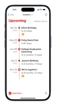 Countdown Calendar Integration Image 1