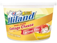 Lactose-Free Dairy Products
