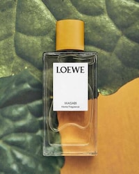 Wasabi-Inspired Home Fragrances