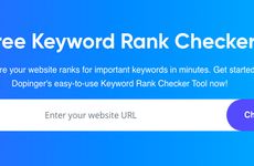 Website Ranking Assessments