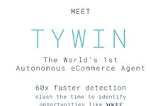 Autonomous Ecommerce AI Agents