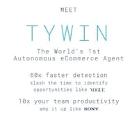 Autonomous Ecommerce AI Agents Image 1