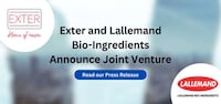 Reaction Flavor Collaborations Image 1