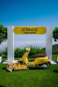 Lemon Vodka Ice Creams Image 3