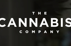 Cannabis Company Brand Expansions
