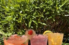 Summery Fruit-Infused Mocktails