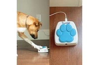 App-Connected Dog Training Buttons Image 2