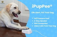 App-Connected Dog Training Buttons Image 4