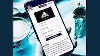 Flexible Flight Loyalty Programs
