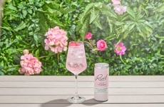 Rosy Vodka Spritz Refreshments