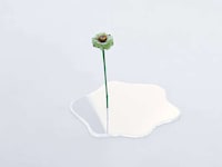 Puddle-Imitating Minimal Vessels Image 1