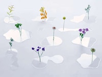Puddle-Imitating Minimal Vessels Image 3