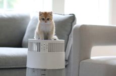 Cat-Friendly Air Purifiers