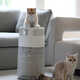 Cat-Friendly Air Purifiers Image 1