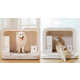 Health-Monitoring Pet Houses Image 1