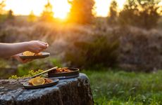 Outdoor Dining Kits