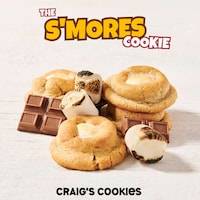 Luxe Camp-Fire Inspired Cookies