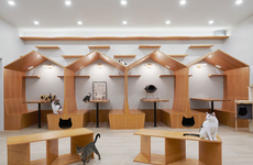 Understated NYC Cat Cafes