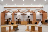 Understated NYC Cat Cafes