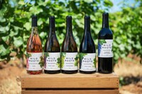 Sophisticated Handcrafted Wine Lines Image 1