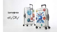 Artistically Adorned Luggage Collections Image 1