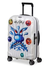 Artistically Adorned Luggage Collections Image 4