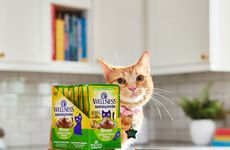 Hydrating Cat Meals