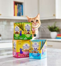 Hydrating Cat Meals