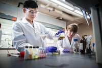 International Student Employment Programs Image 1