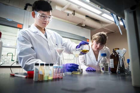 International Student Employment Programs