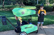 Kid Entrepreneur Carts