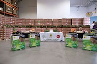 Massive Avocado Donations Image 1