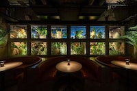 Luscious Dining Bars