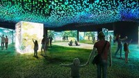 Sensorial Art Exhibitions Image 3
