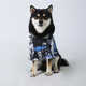 Premium Canine Clothing Image 2