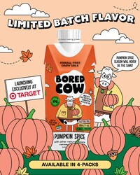 Pumpkin Spice-Flavored Milk Alternatives Image 1