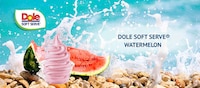 Fruity Soft Serve Treats