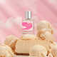 Clean Vanilla Fragrances Image 5