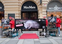 Animal Welfare Initiatives Image 2