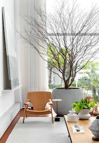 Nature-Inspired Minimal Residences Image 3