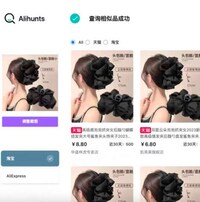 Price-Comparing Image Searches Image 1