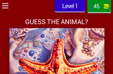 Educational Nature Quizzes