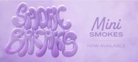 Convenience-Focused Mini Pre-Rolls Image 1