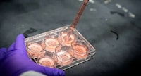 Cell-Based Meat Manufacturing Solutions Image 1