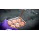 Cell-Based Meat Manufacturing Solutions Image 1